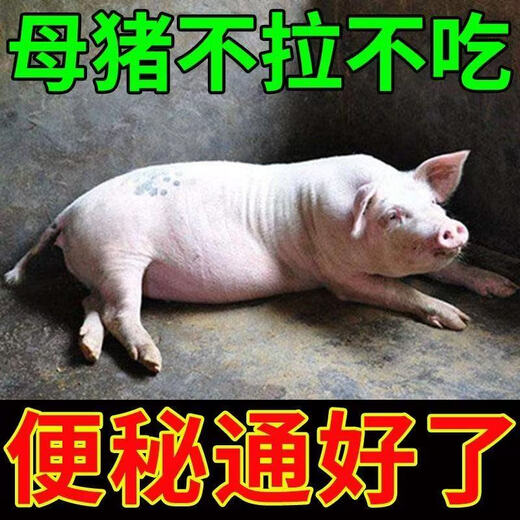 Luanci pig pulls dried feces balls, dried feces, pigs are laxative, appetizer, clears away heat and purges fire, sows are constipated before and after delivery, pigs are constipated and do not eat, 20 bags, the first choice for breeding
