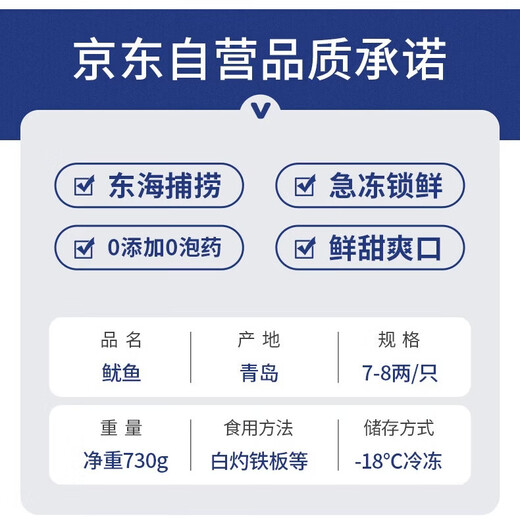 Yunchu Life Big Squid Whole Extra Large Fresh Fresh Frozen Squid Teppanyaki BBQ Hot Pot Ingredients Net Weight 7-8 Liang/Piece*2