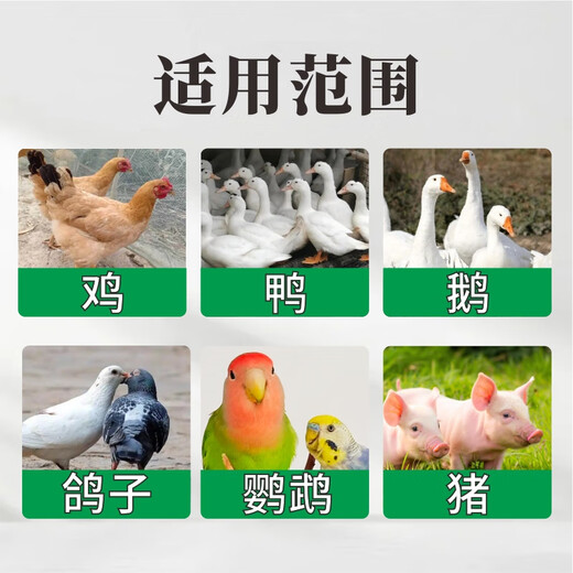 Yimotang Anti-pecking Guard Feed Additive for pecking feathers, pecking, anus, eating eggs, supplementing nutrition, bright feathers 200g/bag Anti-pecking Guard - 1 bag