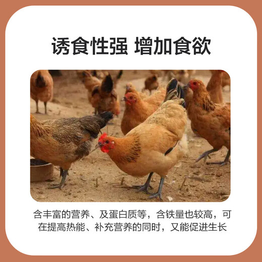 4% broiler compound premix native chicken young chicken premix growth promotion feed for large, medium and small chickens 1 bag_chick premix