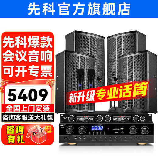 Xianke conference room audio equipment complete set combination home theater KTV music school training special system Bluetooth amplifier microphone all-in-one wall-mounted stage speaker K5V four 12-inch audio set two microphones two goosenecks (220-450 square meters