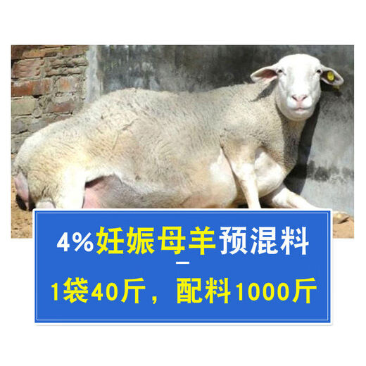 Sino-US Puke 4 Pregnant Ewe Special Premix Sheep Basic Pregnant Breeding Ewe Overlay Premix Sheep Feed Veterinary 4 Basic Pregnant Ewe Premix 40 Jin Jin is equal to 0.5 kg