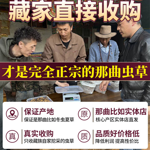 东仔【西藏那曲】野生冬虫夏草高海拔野生虫草断草滋补品礼盒送长辈 【西藏那曲野生】小号断草-自用滋补 5克（礼盒装）