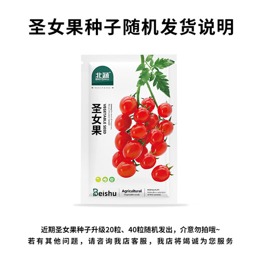 Beishu various vegetable seeds lettuce spinach coriander chives celery balcony four seasons rapeseed 12 kinds of vegetable seeds