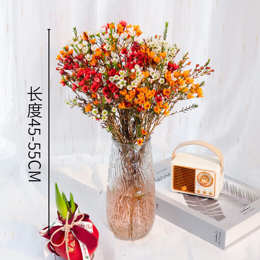 Australian Wintersweet, New Year's Eve Flowers, Fresh Cut Flowers, Household Water-raised Flower Arrangements, Yunnan Straight Hair Flower Bouquet, Long-lasting Real Flowers, 1 Bundle of Yellow Wintersweet (About 200g), Color Absorption