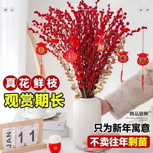 Xingxiang silver willow fresh branches New Year's Eve flowers red silver willow 60cm high 30 pieces + random cards not including pots straight from the source