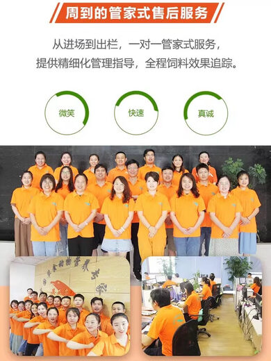 General full-stage additive for cattle feed, beef cattle premix, life code, microecological manufacturer direct sale, green