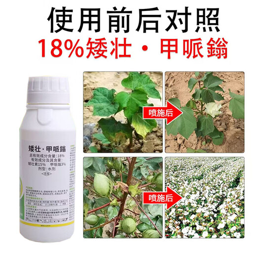 Genuine dwarf cotton control growth regulator, control dwarfing, resistance to lodging, stress resistance, improve quality, ready-made, 500g*4 bottles