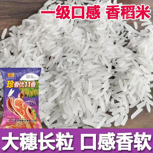 Wangyuanxing first-class rare and fragrant 11 fragrant high-yielding hybrid rice seeds, fragrant rice, high-quality long-grain rice, disease-resistant and high-yielding rice seeds, authentic first-class fragrant rice, long-grain, strong-flavor type, short stems and lodging-resistant, original and authentic, transplanting one acre of land (1 Jin Jin is equal to 0.5 kg) and free fungicide