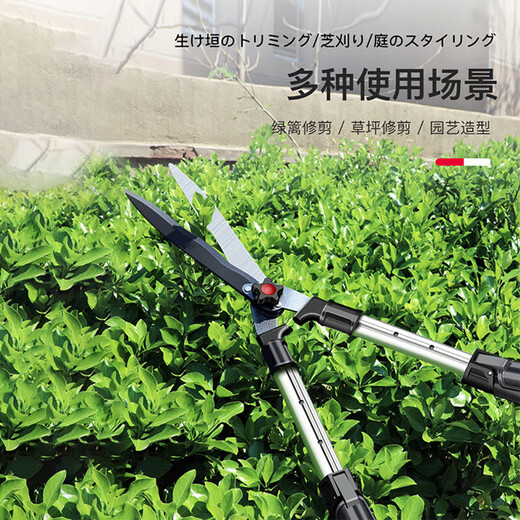 Gardening scissors, household lawn pruning, flower pruning scissors, branch pruning, hedge pruning, thick branches, garden fence scissors, large scissors, standard large blade straight blade model with free gloves