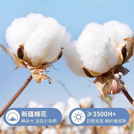 MUJI pure cotton quilt cover single 1.5mx2m student dormitory infant quilt cover single 150x200cm Blue Sea Clear