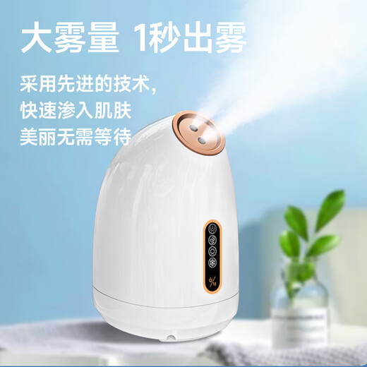 Avode facial steamer, hot and cold dual-spray facial household moisturizing nano-spray hydration device, fully upgraded hot and cold facial steamer, hot and cold dual-spray pure white Z16