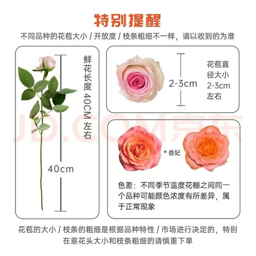 Jingdong Flowers Boutique Water-cultured Soilless Culture New Year's Eve Flowers Valentine's Day Limited Red Roses 20 Pack 45CM+ Straight from the Source