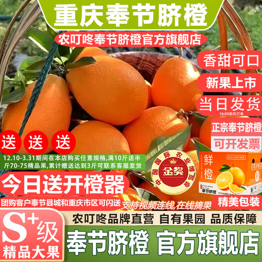Nongdingdong Brand Orchard Ventes directes Chongqing Fengjie Navel Orange Newhall Coffret cadeau de fruits Magasin phare officiel de haute qualité Gros fruits à manger soi-même Diamètre de fruits 75-85 10 Jin Jin équivaut à 0,5 kg Coffret cadeau exquis