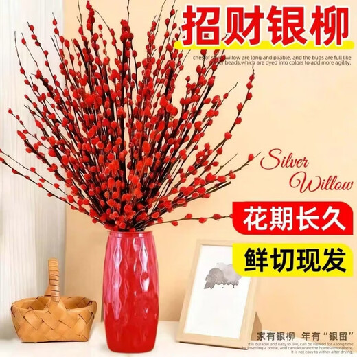 Xingxiang silver willow fresh branches New Year's Eve flowers red silver willow 60cm high 30 pieces + random cards not including pots straight from the source