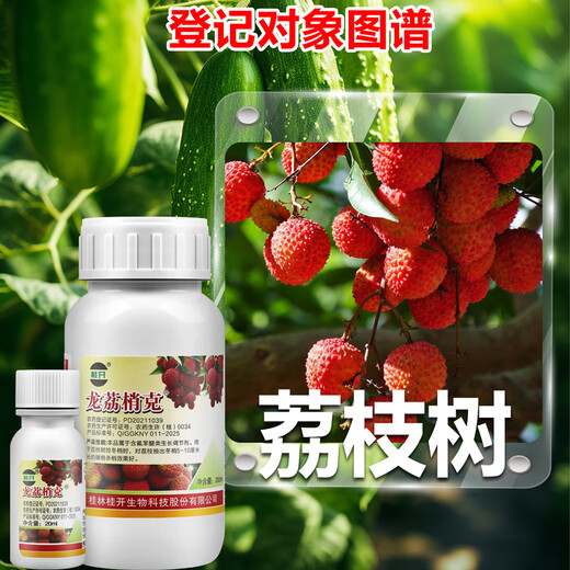 6% oxyfluorfen, special shoot control drug for lychees, lychee fruit tree killing and flowering agent for winter shoots, 200ml