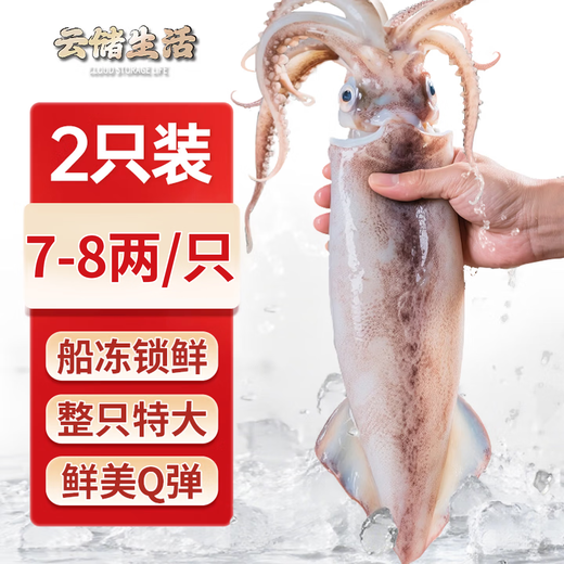 Yunchu Life Big Squid Whole Extra Large Fresh Fresh Frozen Squid Teppanyaki BBQ Hot Pot Ingredients Net Weight 7-8 Liang/Piece*2