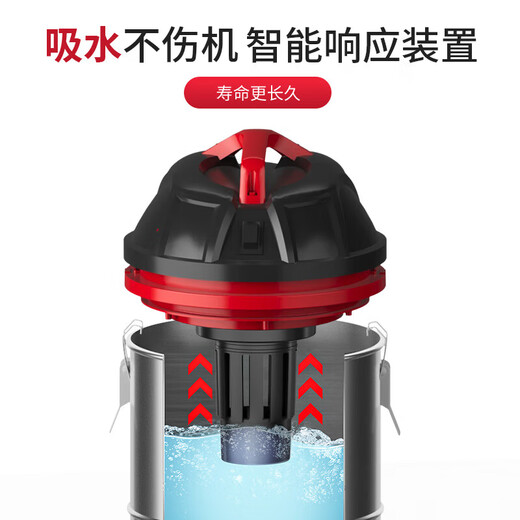 Yangzi (YANGZI) Industrial Vacuum Cleaner, Household High Suction, Wet and Dry Use, Car Use, Powerful Land Clearance, Cleaning, Beauty Seam Decoration, Beauty Seam Clearance, Cat Hair Vacuum Cleaner, 30L Multi-Purpose Cleaning, Bonus Nine-piece Set, 2800W High Power