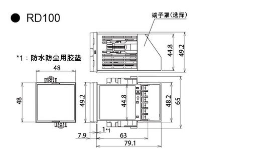 RKC thermostat RD100 FK02-8N-4*1N unit unit