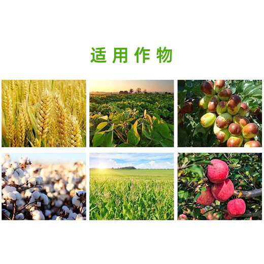 Baoying 20% Phenylpeptidine Soybean, Pepper, Rape, Tomato, Citrus, Flower and Fruit Preserving Pesticide Growth Regulator 500g*5 Bottles