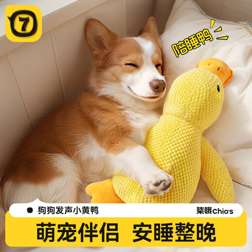 Qi Oh Dog Toys, Teeth Resistant, Medium and Large Dogs, Sound Dog Toys, Border Collie Corgi, Boredom Relief Artifact, Pet Supplies, Sound Toys, Charge Duck, Large Size 45*38cm