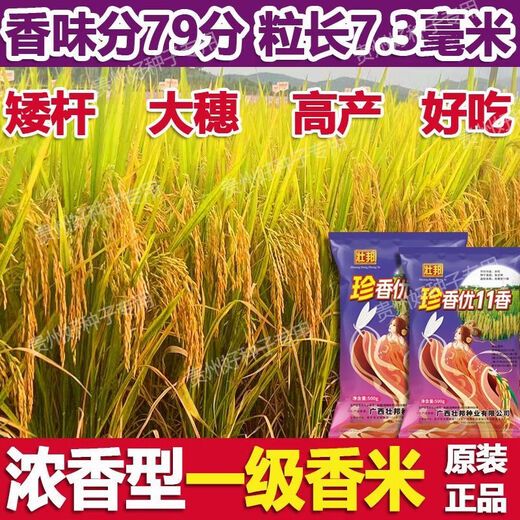Wangyuanxing first-class rare and fragrant 11 fragrant high-yielding hybrid rice seeds, fragrant rice, high-quality long-grain rice, disease-resistant and high-yielding rice seeds, authentic first-class fragrant rice, long-grain, strong-flavor type, short stems and lodging-resistant, original and authentic, transplanting one acre of land (1 Jin Jin is equal to 0.5 kg) and free fungicide