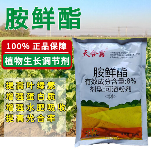 Runtian Baihu 8% ethyl aminoethyl DA-6 regulator wheat rapid rooting, flower and fruit preservation, root strengthening, seedling prevention, coloring and yield increase 8% ethyl aminoethyl ethyl 12g * 10 bags