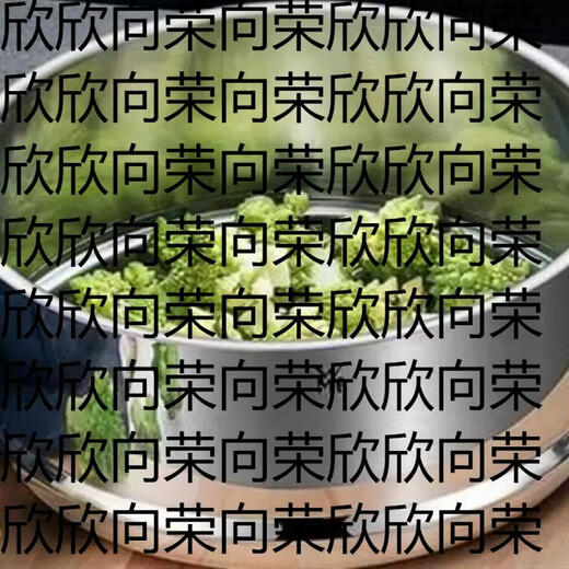 Yusenyi cage drawer wmfwmf304 stainless steel household grid steaming food grade steaming 1810 thickened rack universal type 24CM binaural style 24cm