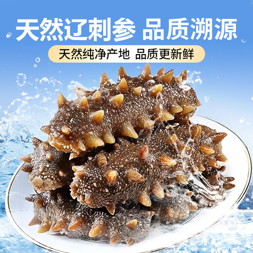 Xiaobing Sea Cucumber Fresh Ready-to-Eat Sea Cucumber Official Store Flagship Store New Year’s Gift Box Sea Cucumber Nutritious Gift for Elders 3Jin Jin equals 0.5kg (comes with ginseng and abalone juice) 7-9 pieces/Jin Jin equals 0.5kg