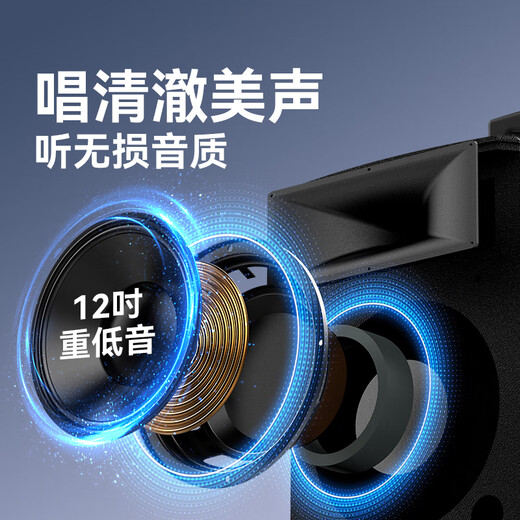 HiVi 12-inch stage-level outdoor mobile smart speaker ktv audio square dance speaker Bluetooth pull rod audio camping dual microphone MA12 electric guitar instrument speaker