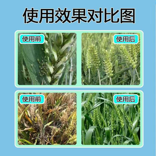Wheat package, one spray, three preventions, wheat production increase, disease prevention, antibacterial, insecticide, anti-falling, strong seedlings, increase production package, 10-in-1 (10 acres package)