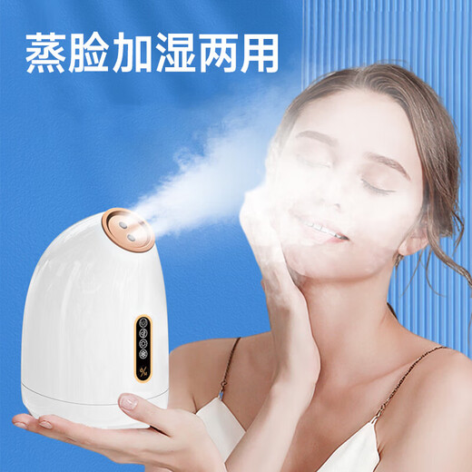 Avode facial steamer, hot and cold dual-spray facial household moisturizing nano-spray hydration device, fully upgraded hot and cold facial steamer, hot and cold dual-spray pure white Z16