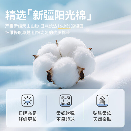 Ciciibear (ciciibear) 10A antibacterial Ciciibear baby T-shirt long-sleeved spring and autumn boys raglan children's round neck 2026 new top jazz blue 73