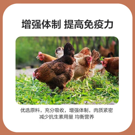 4% broiler compound premix native chicken young chicken premix growth promotion feed for large, medium and small chickens 1 bag_chick premix
