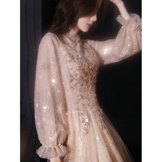 Rich collar annual meeting dress for women, high-end, small, champagne color evening 2026 new banquet temperament, high-end host birthday, champagne pink zipper, mid-length. Style M