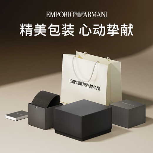 EMPORIO ARMANI Armani Watch Men's Simple Business Series Silver Sunburst Quartz Watch Birthday Gift AR11599