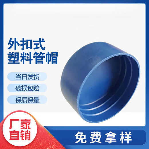 Zhuo Shikun seamed steel pipe plastic pipe cap plug round PE dustproof protective sleeve blue threaded cap round pipe inner plug head 200mm blue (pack of 10)