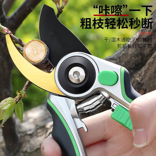 Jingxi Selected Pruning Shears for Home Gardening, Powerful and Labor-saving Thick Branch Scissors, Gardening and Floral Scissors, Upgraded Soft-coated Rubber Handle Pruning Scissors and Fruit Thinning Scissors.