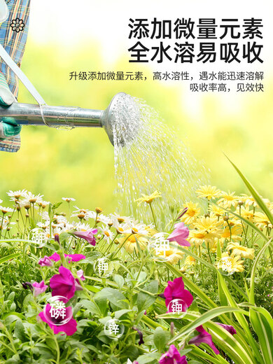 Lingwo Potassium Dihydrogen Phosphate Fertilizer Flower Special Bougainvillea Phosphate Fertilizer Household Potassium Fertilizer Flower Fertilizer Potted Plant Authentic Agricultural Explosive Potassium Dihydrogen Phosphate 500g*2 Cans + Gardening Tools Four-piece Set