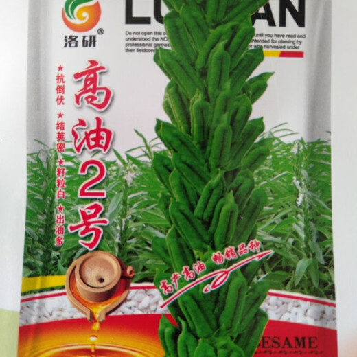 Семена белого кунжута Gaoyou № 2, стабильный урожай, семена кунжута с высоким содержанием масла, засухоустойчивые семена зерновых, посадка в поле 100 г/пакет