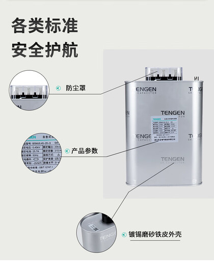 TENGEN Tianzheng BSMJ-0.45 three-phase self-healing low-voltage reactive power compensation parallel power capacitor 450V BSMJ0.45-20-3