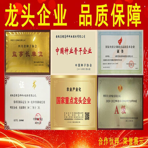 Национальный обзор Banghaoyu, коллекция высокоурожайных семян кукурузы, Юньнань-Гуйчжоу, Сычуань, Сычуань, с коротким стеблем, очень большая палочка, устойчивая к полеганию, семена прицветника, оригинальные 1 кг (приблизительно 1 му земли)