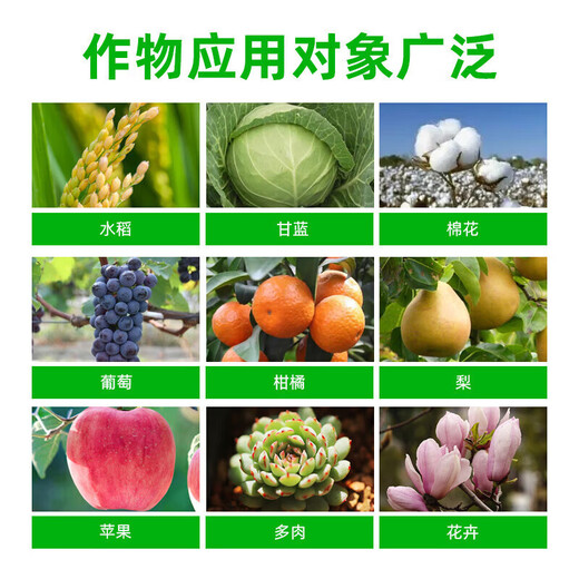Guoguang Pesticide, Naphthalene Acetate, Plant Growth Regulator, Flower and Fruit Preserving Medicine, Prevent Fruit Drop and Sitting, Apple Tree Hua Guo Bao 1000ml (12 bottles in the box)