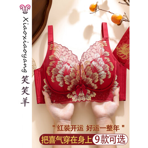 Triumph Angora Red Underwear Women's Small Breast Push Up Thick Embroidered Bra New Year Wedding Bridal Bra Set Good Things Come Again - Set Angora Red M 36/80A Top Thin Thick Bottom 2.5c