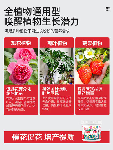 Lingwo Potassium Dihydrogen Phosphate Fertilizer Flower Special Bougainvillea Phosphate Fertilizer Household Potassium Fertilizer Flower Fertilizer Potted Plant Authentic Agricultural Explosive Potassium Dihydrogen Phosphate 500g*2 Cans + Gardening Tools Four-piece Set