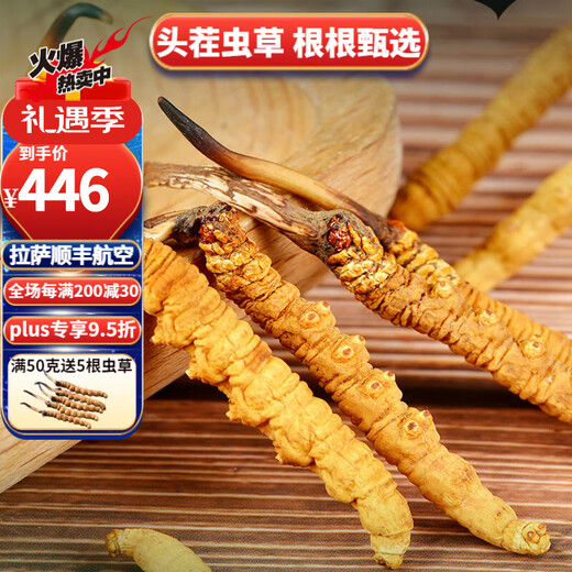 Zangyou genuine high-altitude Cordyceps sinensis gift box tonic cordyceps high-end gifts for parents and elders in the new year crystal tube thin branch 4 pieces/g-30 pieces gift recommendation