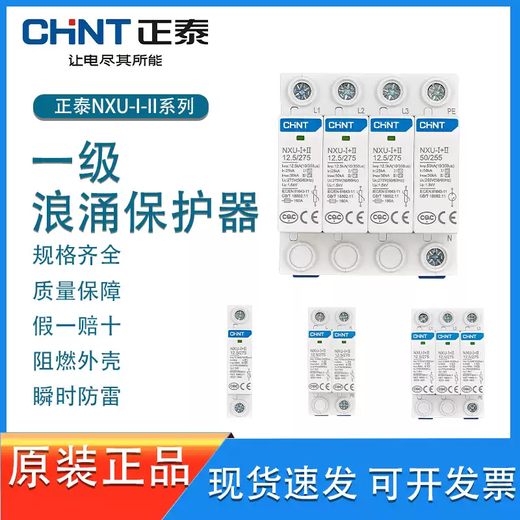 Chint surge protector NXU-+II12.5/275385 Level 1 test lightning arrester three-phase power supply NXU-+12.5/2754P