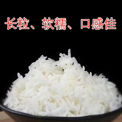 水稻种川优6203稻谷种稳产分蘖强抗病抗倒伏香米香稻好吃泰米品种 川优6203水稻种子   5袋