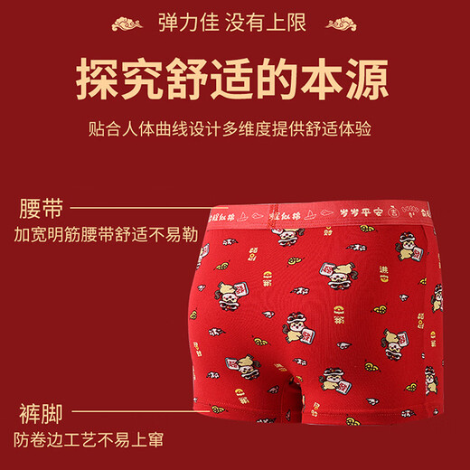 Candynut children's zodiac year underwear boys' big red socks pure cotton boxer briefs Year of the Horse, big children's New Year's lucky shorts, immediate success 2 underwear 2 socks 160 Recommended 145-155cm 60-70Jin Jin equals 0.5 kg