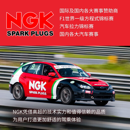 NGK platinum spark plug four Tiida Sunshine Sylphy Qijun Qashqai Ma Chi Wei Qichen T60 Fengshen A60 Teana